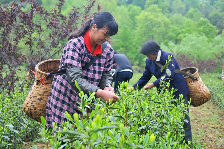 非遺文化節暨開園儀式圓滿啟動.jpg