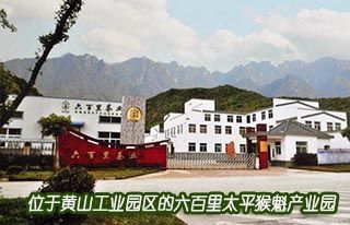 黃山六百里猴魁茶業(yè)有限公司董事長鄭中明訪談錄.jpg